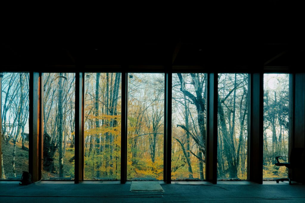 A serene panoramic view of autumn woodland through large glass windows, creating a tranquil indoor-outdoor connection.